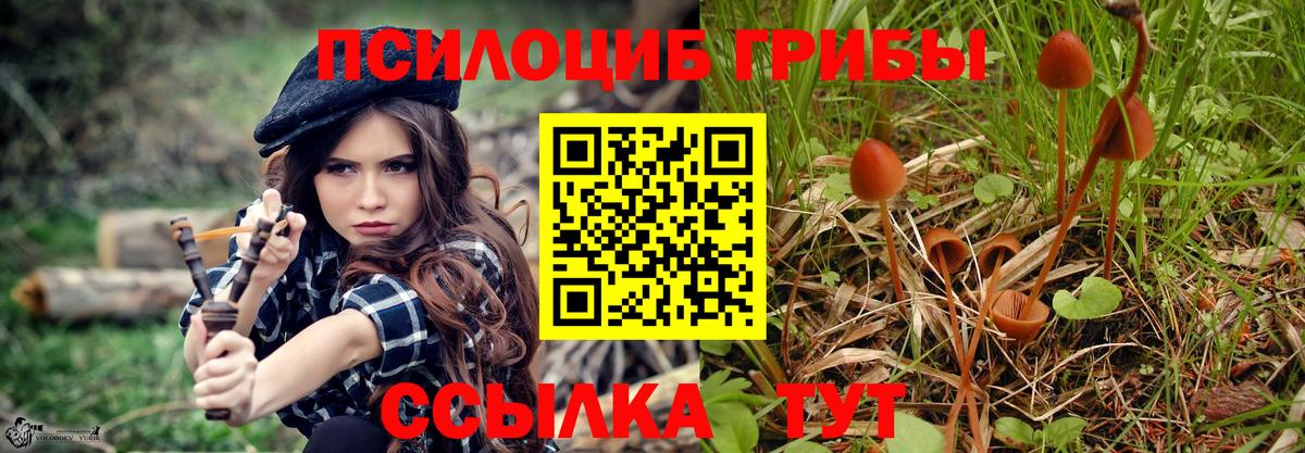 Карталы  Галлюциногенные грибы Psilocybine cubensis  Вход с VPN  Псилоцибиновые грибы ЛСД 