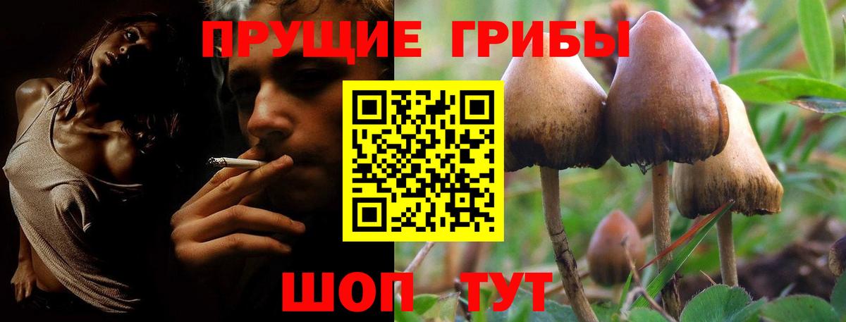 Лсд 25 Карталы